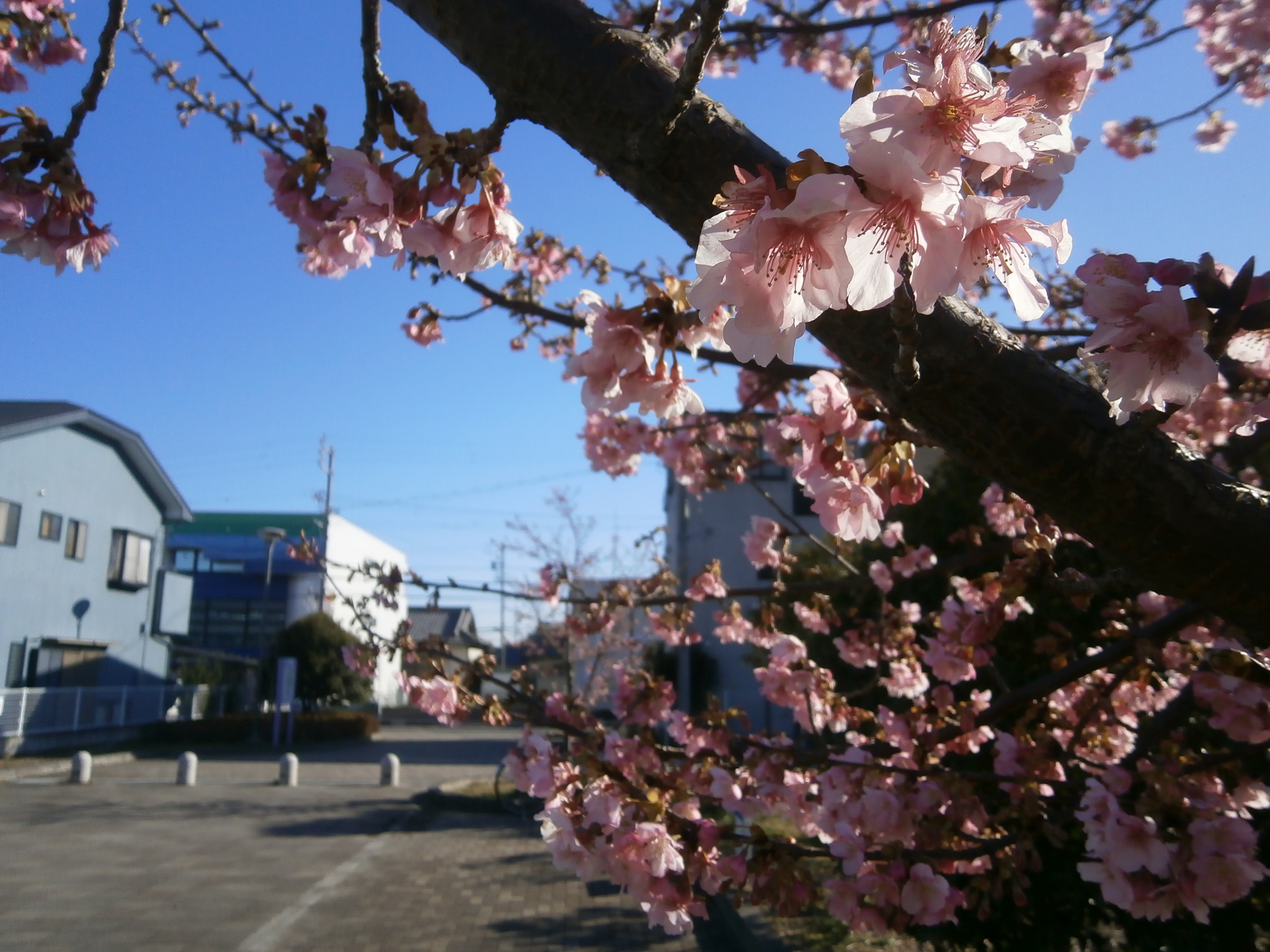 藤枝市　あたたかリフォーム「完成見学会間近」