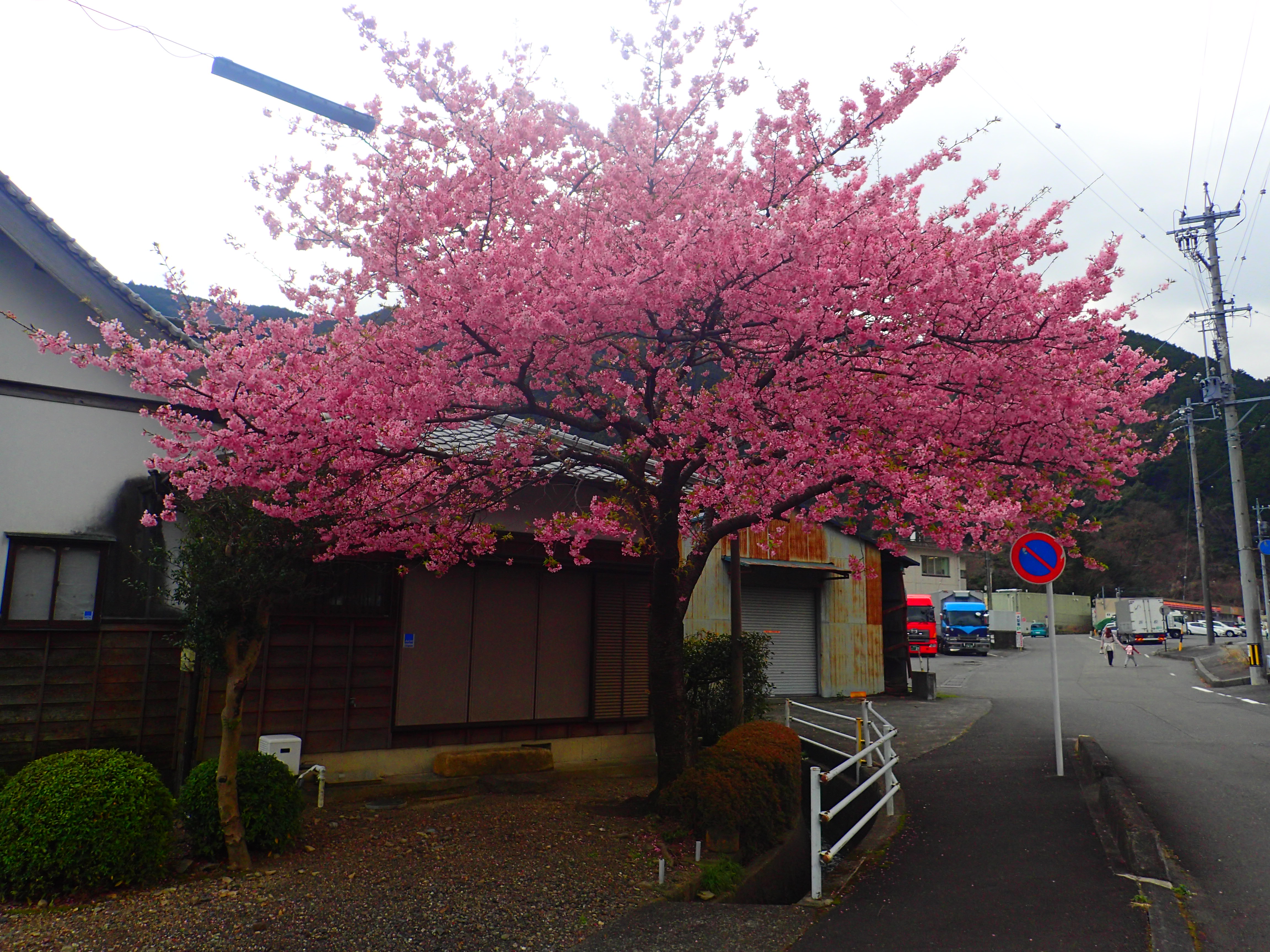 【島田市】育暮家のあたたかリフォーム始まります