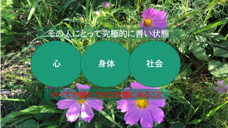 SWGs（Sustainable Well-being Goals）の推進